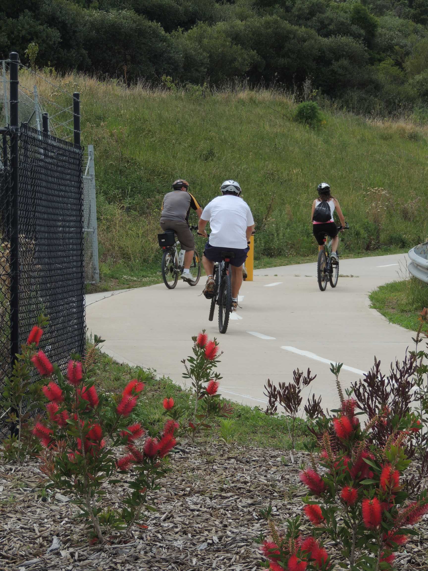 The Canal Reserve walkway looking east from the Reconciliation Road crossing