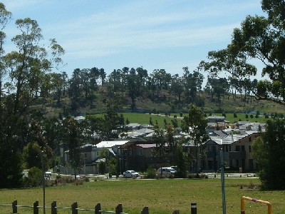 Greystanes Hill