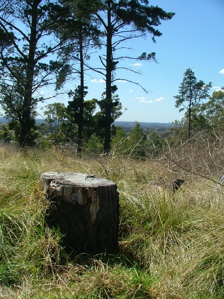 Summit of Prospect Hill