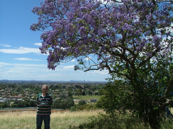View eastwards from Prospect Lookout