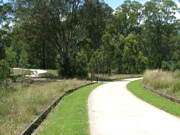 Junction of link track