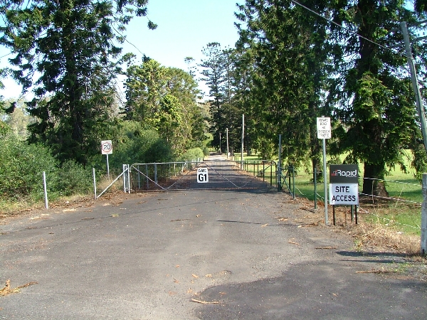 Hoop pines lead to the site of Veteran Hall