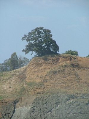 View of One Tree Hill from Water Tower Hill